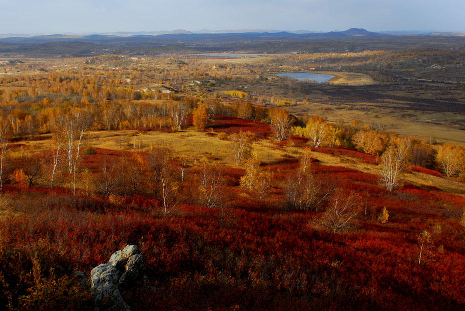 塞罕坝党建培训影响：推动党员干部队伍建设向纵深发展
