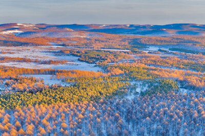 塞罕坝干部培训,筑牢党性教育基石