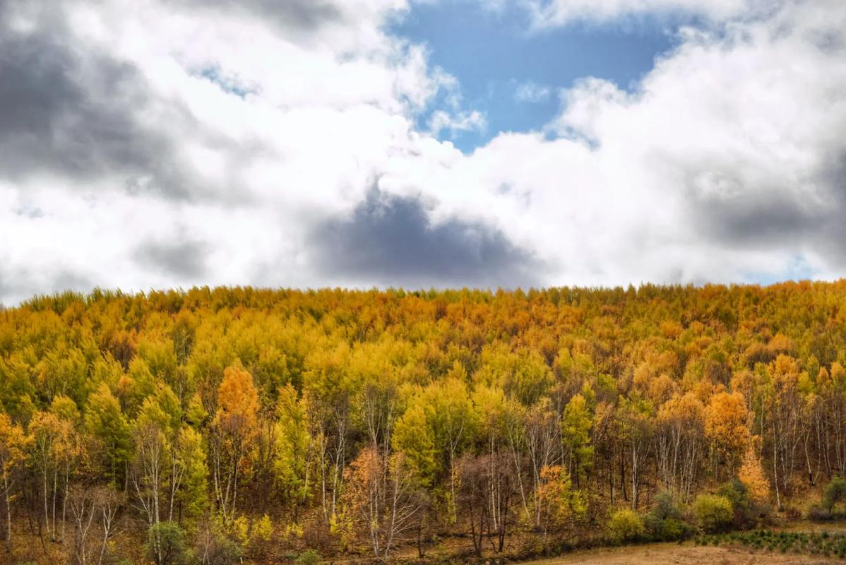 思政教师培训：用塞罕坝故事拉近距离 唤醒学生深层共鸣