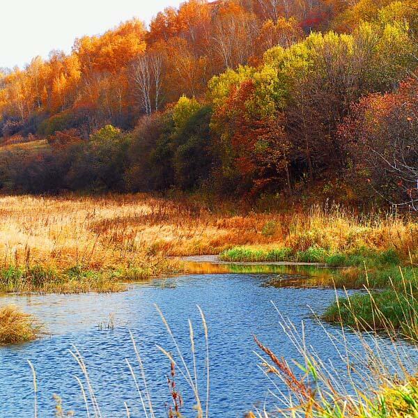 塞罕坝红色基因不是抽象符号，是刻在民族血脉里的精神密码