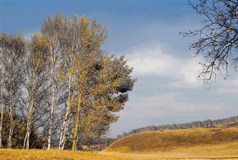 思政教师如何讲好塞罕坝的生态思政课