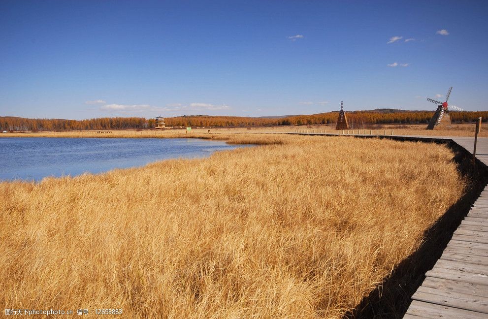 机关党建培训 塞罕坝担当意识淬炼