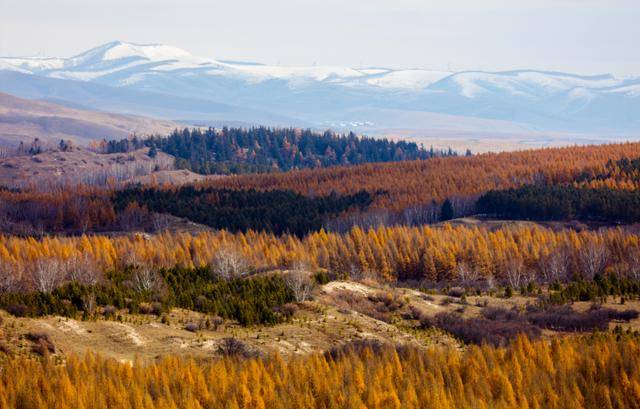 思政教师借塞罕坝案例 培育生态价值观新路径