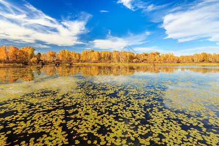 企业党支部建设：以塞罕坝精神塑奋斗文化