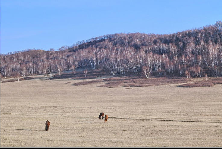 思政教师培训新视野 塞罕坝生态智慧解码