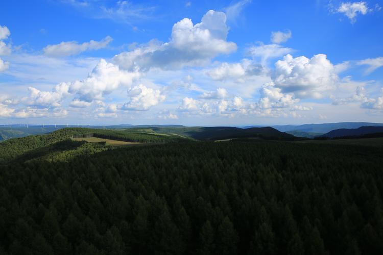 塞罕坝党建培训引共鸣 点燃党员干部绿色热情