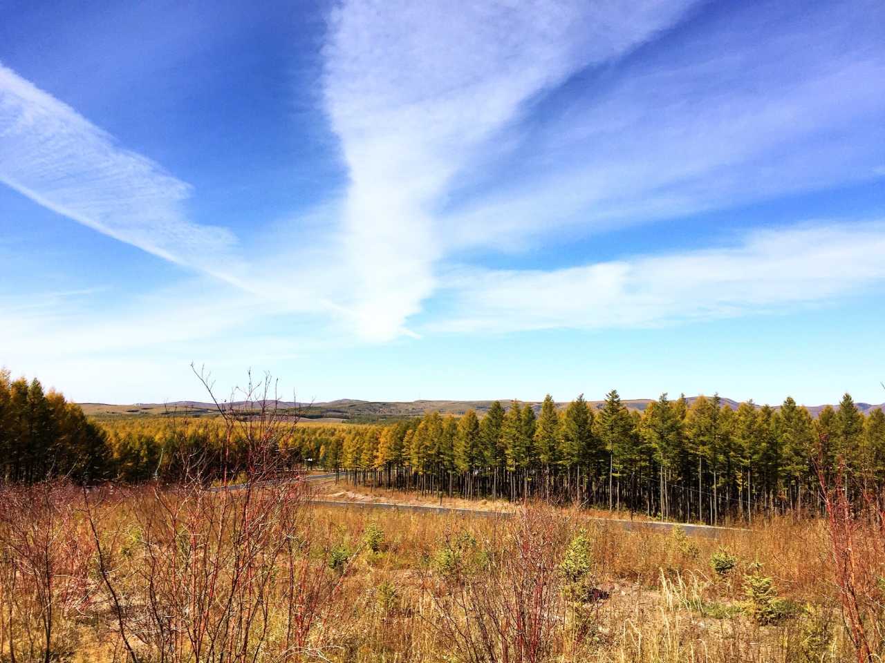 塞罕坝：思政教师培训的红色绿色新阵地