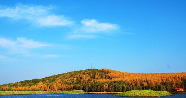 党建培训新范式：解锁塞罕坝红色基因传承密码