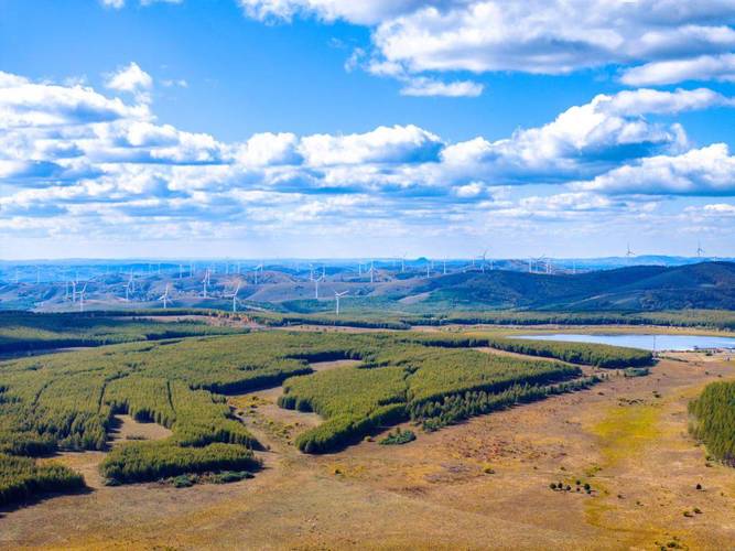 塞罕坝红色教育引领党建培训新高度