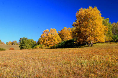 塞罕坝红色文化浸润：思政教师培训新路径探索