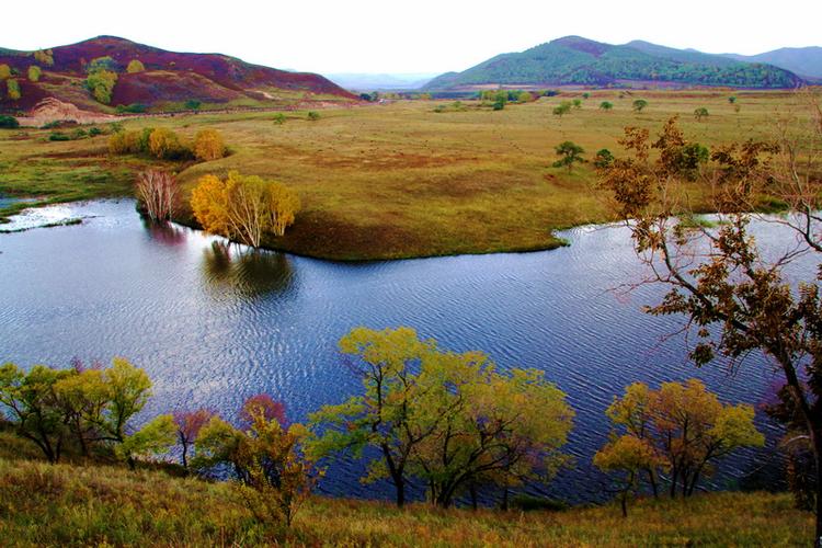 t04da5601eacbea321b (1).jpg