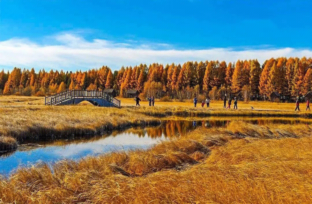 塞罕坝：中高校党员干部培训的红色精神沃土