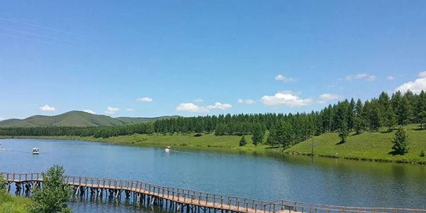 党建培训新视角：在塞罕坝的绿色丰碑前重铸生态文明信念