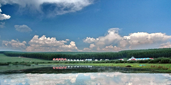 塞罕坝经验助力党建培训质量提升 筑牢育人根基焕发新活力