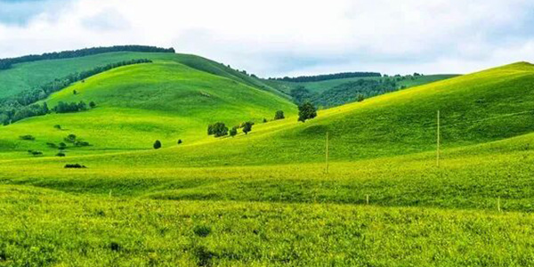 塞罕坝精神在干部培训中深化推进与实践应用