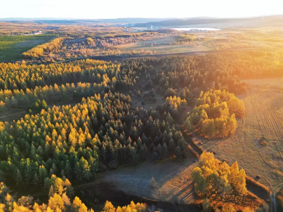 干部培训新视角：塞罕坝生态治理创新思维