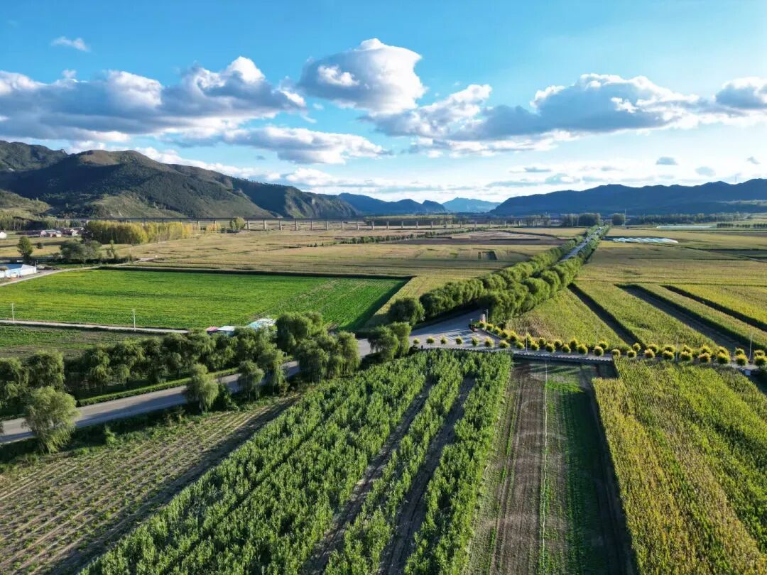 塞罕坝精神：干部培训的生态思想灯塔与行动指南