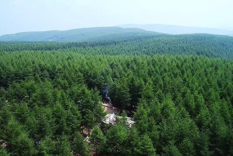 塞罕坝干部培训与绿色发展 铸就生态育人标杆