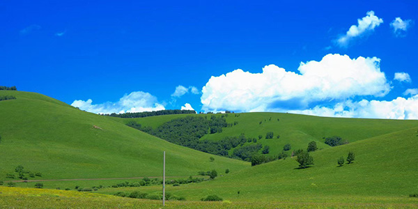 塞罕坝干部培训：培育绿水青山专职守护者