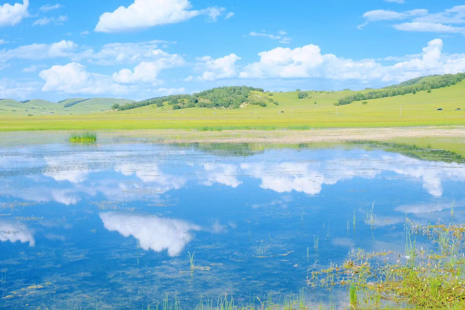 塞罕坝模式：干部培训激活绿色发展势能