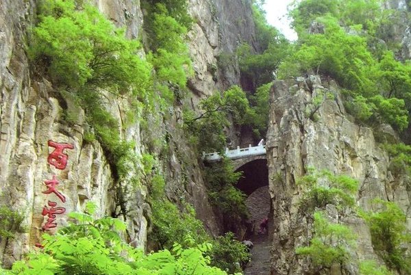 2026干部培训新风向：打卡塞罕坝 解锁红绿融合党建课