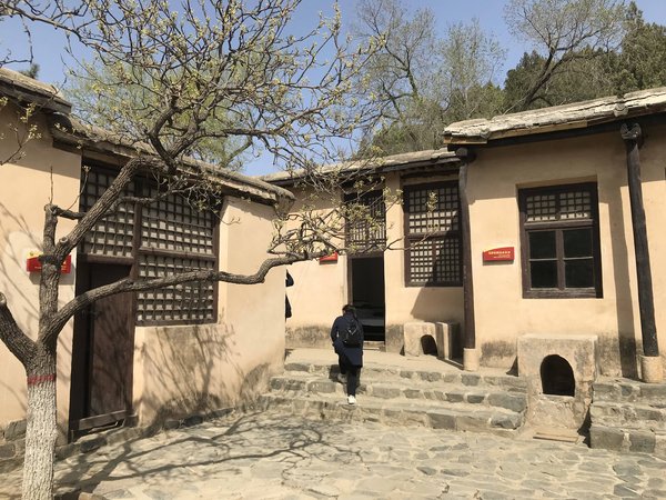 红色教育赋能干部成长：塞罕坝的3个核心密码