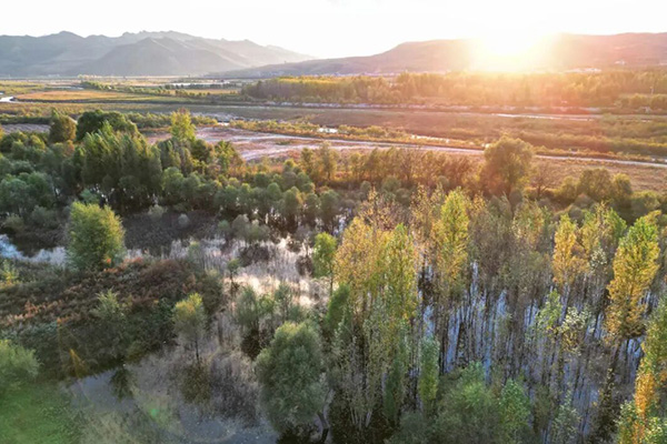 干部培训告别纸上谈兵 塞罕坝实景课堂解锁实干密码