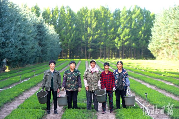 3策激活新时代干部绿色担当 塞罕坝培育的实操启示