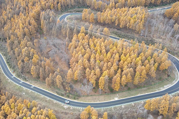 干部培训告别形式主义：塞罕坝红色教育3个实效法则